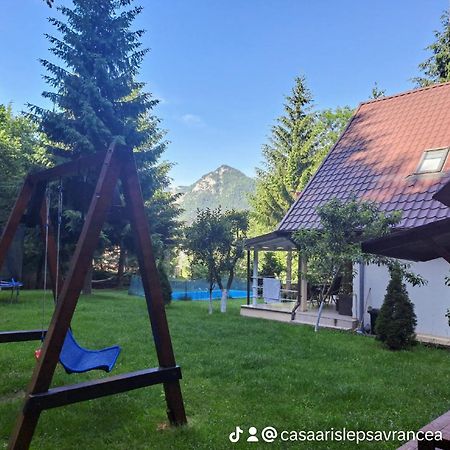Отель Casa Aris Lepsa Vrancea Экстерьер фото
