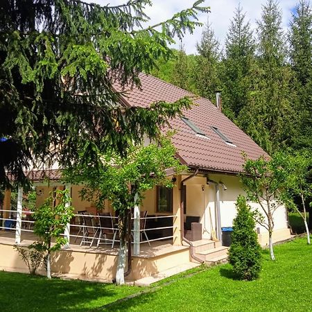 Отель Casa Aris Lepsa Vrancea Экстерьер фото