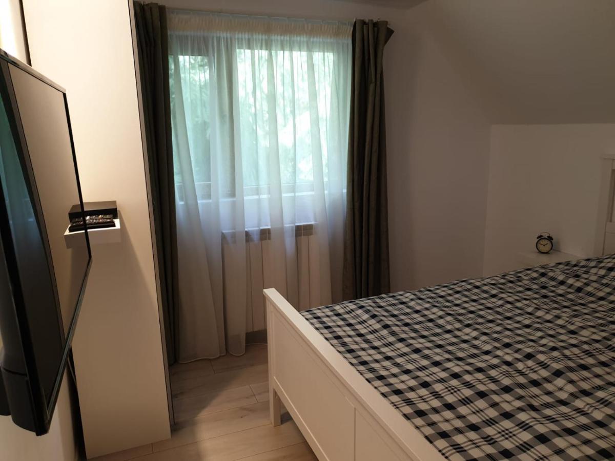 Отель Casa Aris Lepsa Vrancea Экстерьер фото