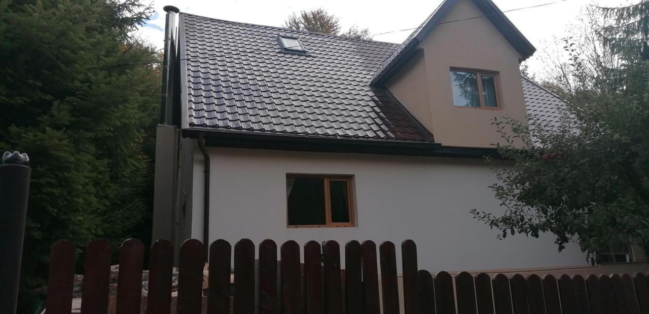 Отель Casa Aris Lepsa Vrancea Экстерьер фото