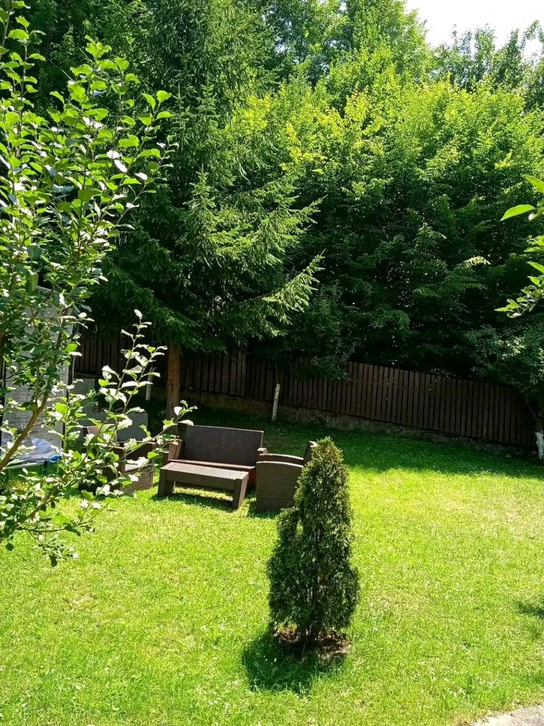 Отель Casa Aris Lepsa Vrancea Экстерьер фото